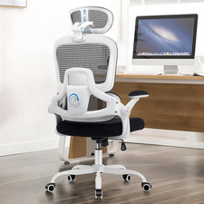 Ergonomic Office Chair, Mesh Desk Chair with 2D Adjustable Lumbar Support Reli
