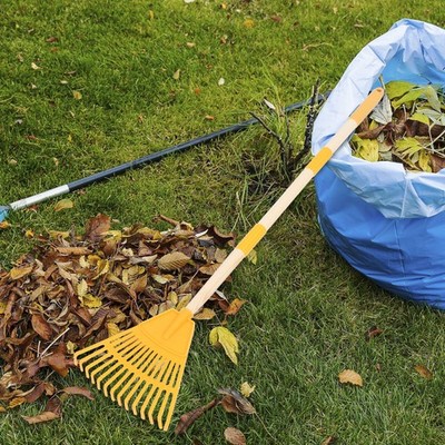  Garden Rake For Leaves - Plastic Detachable Handle 14 Tines 34 Inch/87 Cm Small