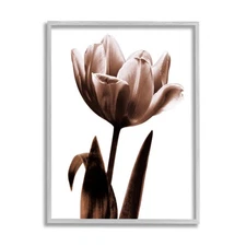 Blooming Tulip Framed Wall Art Giclee Print Caroline Kelly Décor