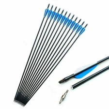 6Pcs Fiberglass Arrows 31" Archery OD 8mm Sp500 For Bow Target Shooting Practice
