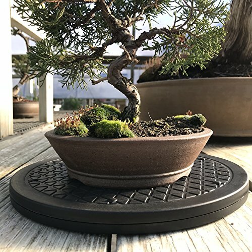 Bonsai Turntable Base Stainless Steel Ball Bearings Mini Tree