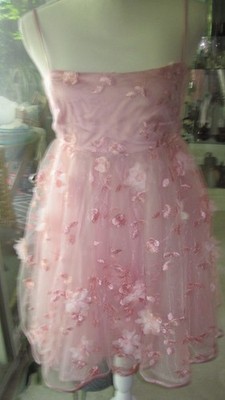 Mini Dress Teens S Pink Floral Embroidery/3D Flowers Lined Fairy Core Romantic