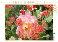 Calvendo Puzzle Pink Rose With Red Yarrow | 2000 Pieces, Finished Size 35.4 × 26