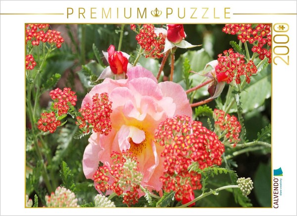Calvendo Puzzle Pink Rose With Red Yarrow | 2000 Pieces, Finished Size 35.4 × 26-image