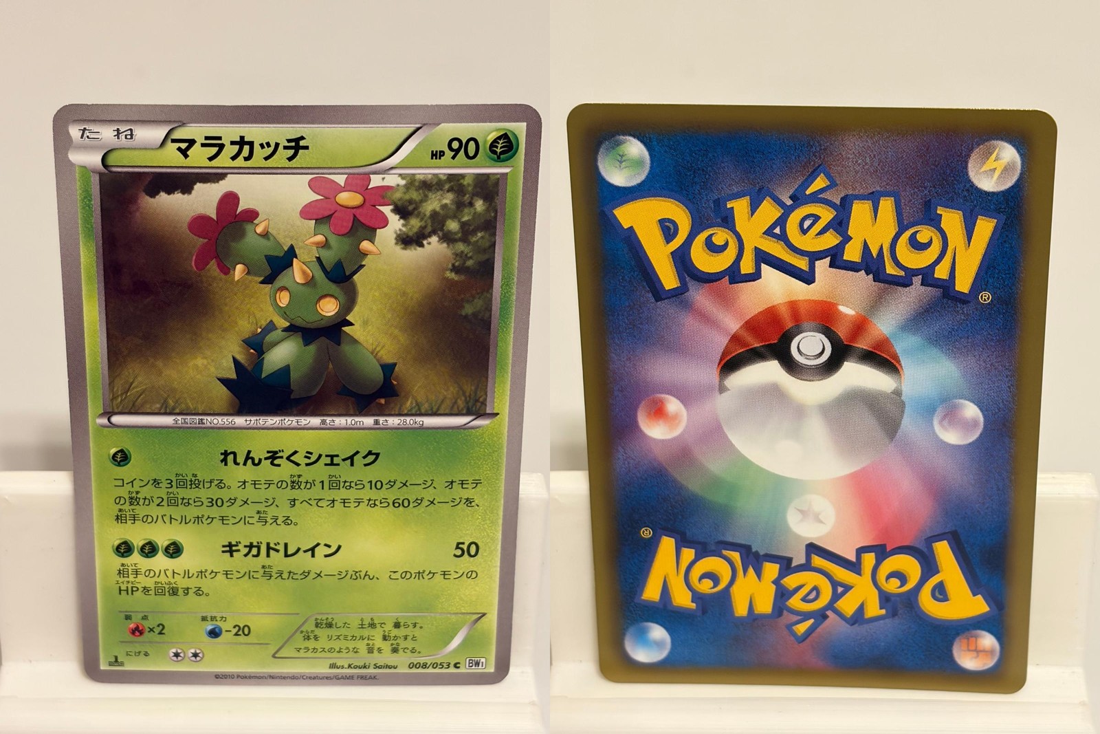 Maractus 008 NEAR MINT White Collection 053 1st ED Pokemon Japanese