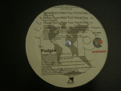 PUDGEE MONEY DON'T MAKE YOUR WORLD STOP 12'' '96 PERSPECTIVE RANDOM RAP NM-