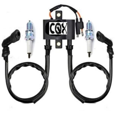 Polaris SPORTSMAN 500 Stator Ignition Coil & Spark Plug For - Foto 9