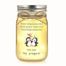 Valentines Day Gifts for Him Her Boyfriend Girlfriend, Anniversary Gifts