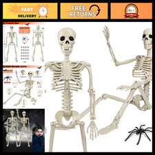 36" Skeleton Halloween Decorations, 3ft Life Size Human Skeleton with Full Body