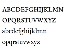 Pet Tags,Deeper Engraved,Brass Charm,Personalized Engraved Dog Cat Name ID Tag