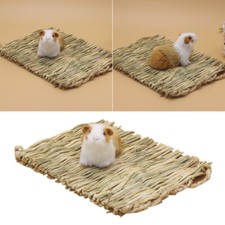 Hot Animal Hamster Grass Chew Mat Breaker Toy Pet Rabbit Pig Rat House Pad