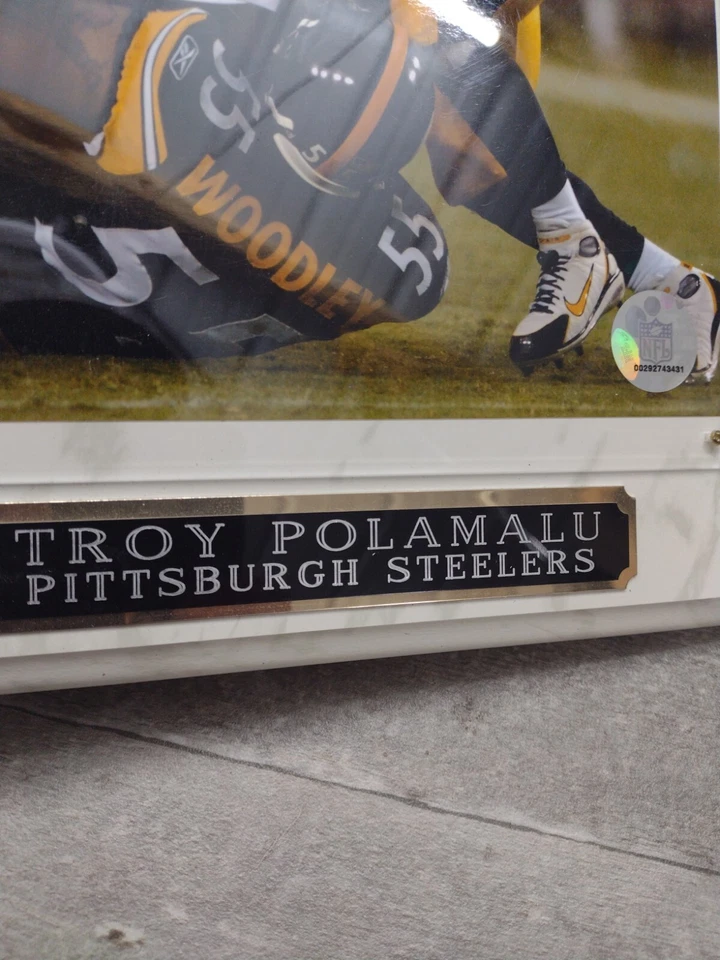 Placa fotográfica 8 X 10 Troy Polamalu Pittsburgh Steelers 2007 con licencia NFL Foto 3 de 4