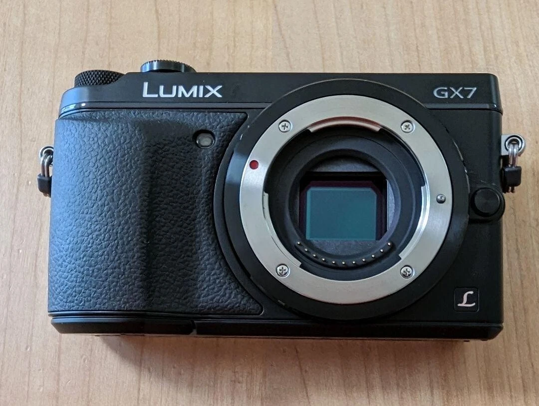 定形外発送送料無料商品 Panasonic LUMIX DMC-GX7 | www.kinderpartys.at