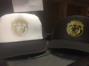 Descendents Hat | eBay