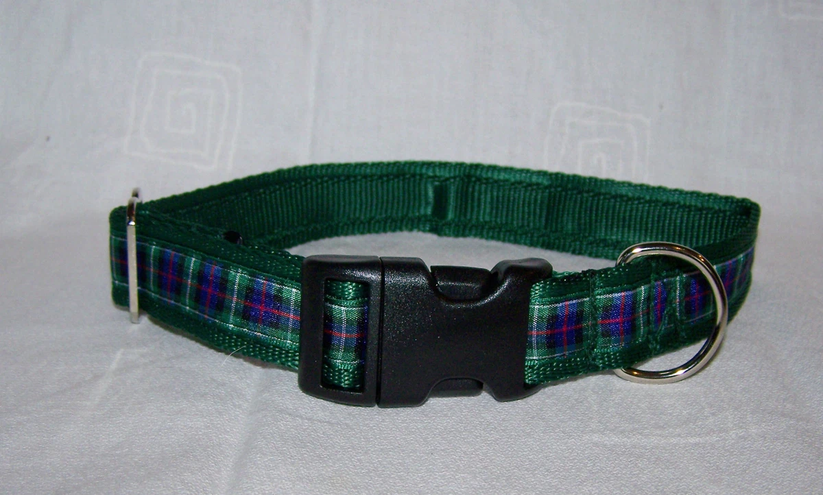 Scotland 2024 dog collar