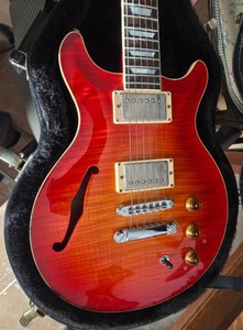 Hamer Slammer Series Guitar | eBay