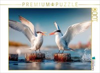 Calvendo Puzzle Seeschwalbengetratsche | 1000 Teile Lege-GrößE 64X48Cm Foto-Puzz