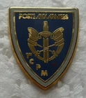 MILITARY PIN FROM 1 CPM DE LA POSTE AUX ARMEES