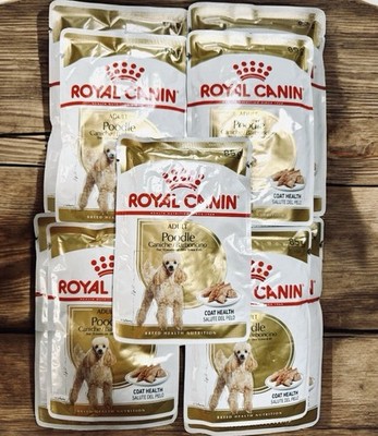 ROYAL CANIN POODLE ADULT COAT HEALTH WET FOOD 85G.POUCH~LOT OF 5