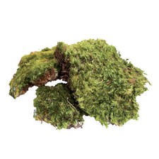 RA All Natural Frog Moss - 80 Cubic Inches