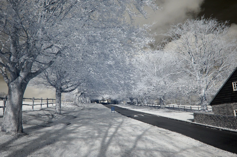 Sony NEX 5 Full Spectrum / Infrared, UV, Astro Converted Camera. 14.2mp camera - Image 2 of 4