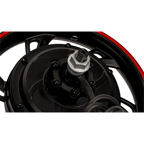 LUNYEE 12 Inch 800W-1200W 36V-48V Gearless Hub Motor Rear Wheel E-Bike Scooter - Afbeelding 10 van 12