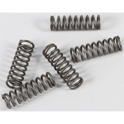 EBC Brakes Clutch Springs CSK124