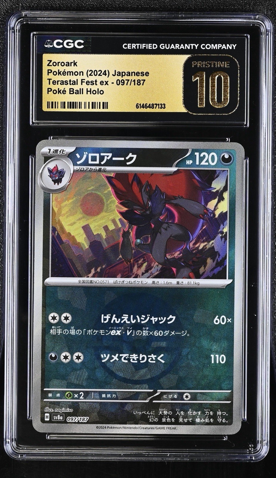 Zoroark 097/187 Pristine 10 Poke Ball Terastal Fest Holo Pokémon