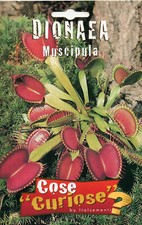 5/6 Semi / Seeds DIONEA MUSCIPULA