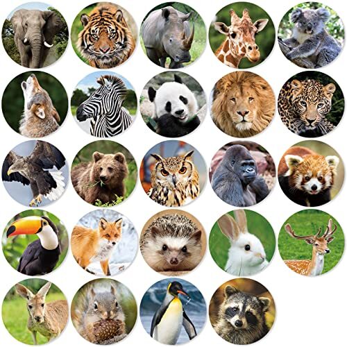 480 Counts Cute Jungle Zoo Wild Animal Stickers 1.5 Round Jungle Animal