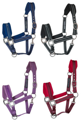 Equilibrium Stellar Style Headcollar Field Safe Break Away getestet gepolstertes Halfter