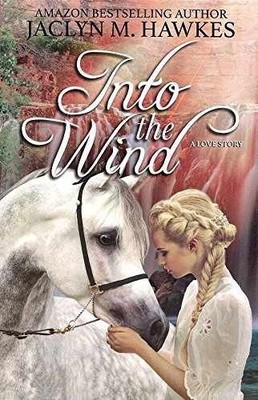 Into the Wind: A Love Story - Paperback, by Hawkes Jaclyn M. - Very Good