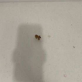 LEGO CITY: Van & Caravan (60117) RETIRED 98% Complete EUC