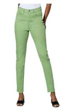 DG2 by Diane Gilman Virtual Stretch Denim Skinny Jean Sage