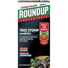 Image of Roundup Tree Stump and Root Killer 250ml for Tough Weeds Brambles Ivy