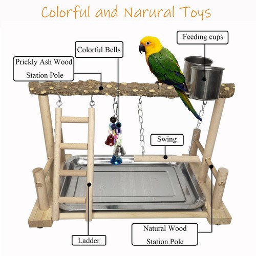 Bird Playground Parrot Playstand Birds Play Stand Wood Exercise Perch Gym Sta... - Picture 5 of 7