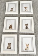 Custom Framed Adorable Baby Animals Professional Matting and Framing 6 Pics EUC