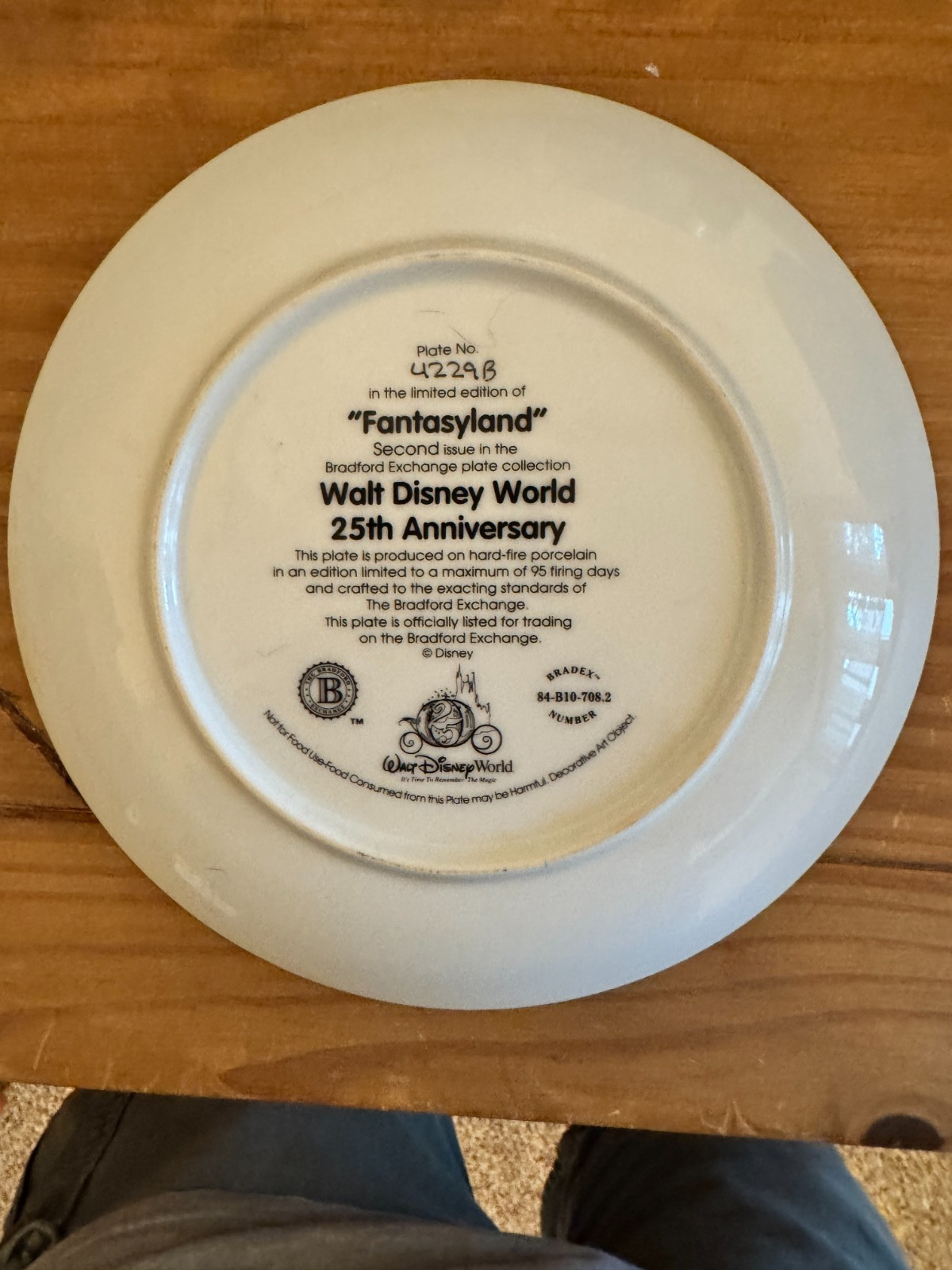 Bradford Exchange 12 Walt Disney World 25th Anniversary 8" Plate Set & Frame