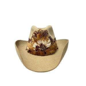 Stetson Billy | eBay