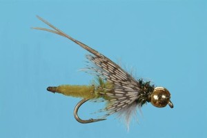 Bead-Head-Extended-Body-Olive-Caddis-Pupa-Nymph-Size-14-or-16-Solitude-Fly-Co