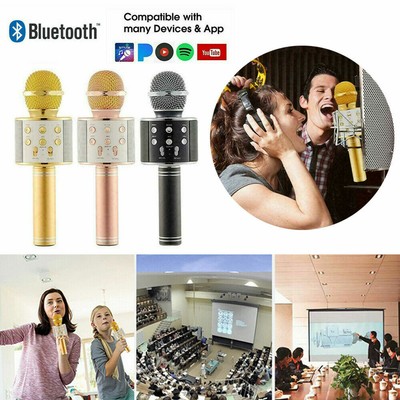 reverb microphone toy