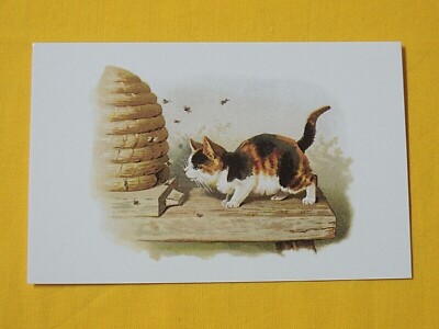1x Postkarten  kleine Katzen Bienenkorb Bienen Retro / Nostalgie Tiere Kätzchen 