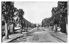 AUTO-AFDP22-0968-95 - SAINT-BRICE-SOUS-FORET - Avenue et place des tilleuls