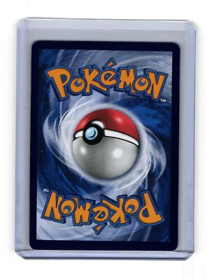 Lucario V SWSH213 Pokemon Promo Card | eBay