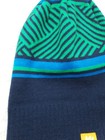 Mammoth Mountain branded Snowboard Ski Beanie Green Blue Mens Womens — photo 3
