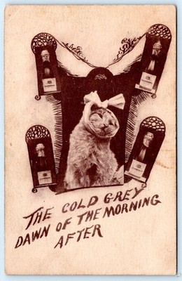 1909 CAT with HANGOVER COLD GREY DAWN of the MORNING AFTER POSTCARD