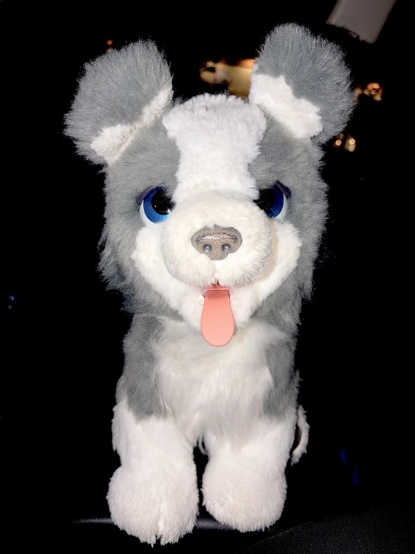 Wild Republic Husky Dog Plush Stuffed Animal, Gray White Blue Eyes, 19513