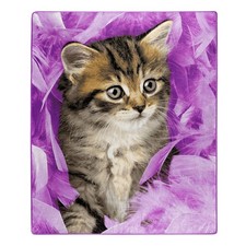 American Heritage Royal Plush Throw Blanket "Kittens Feathers" 50" X 60" Cat