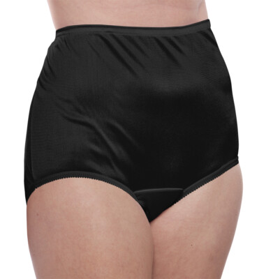 Women's Classic, Nylon,  Brief Panty  (Stye 331) 4 Pack by Teri Lingerie
