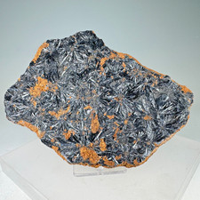 Nice Large Well-Crystallized Vivianite: Kola Peninsula, Murmansk Oblast, Russia
